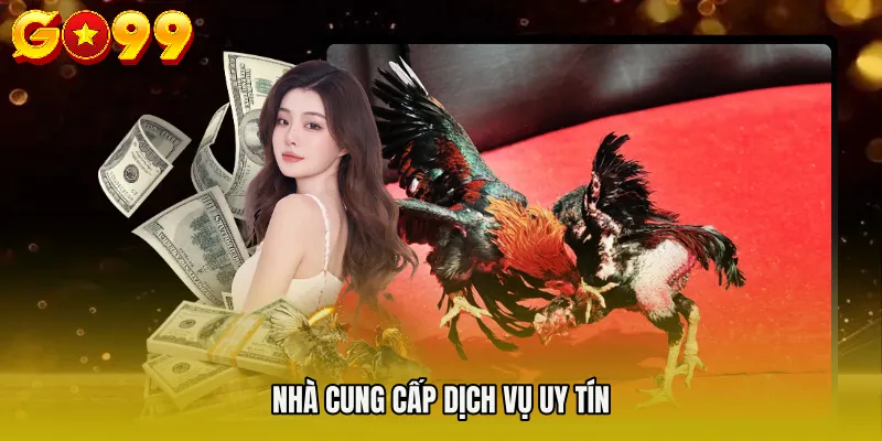 ĐÁ GÀ GO99 3 Nhà cung cấp dịch vụ uy tín