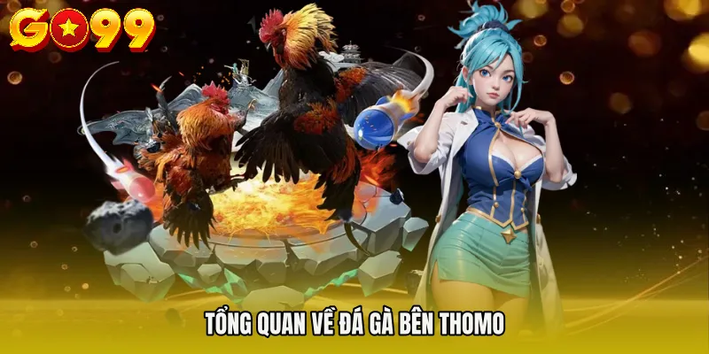 Đá Gà Bên Thomo - Hé Lộ Luật Chơi Và Kèo Cược Chuẩn 2 Tổng quan về đá gà bên Thomo