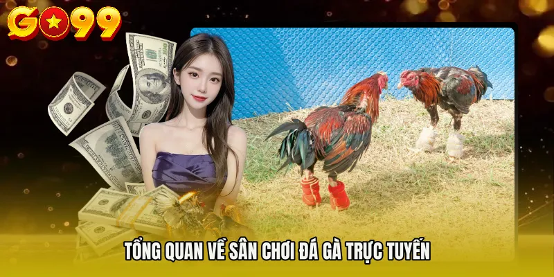 ĐÁ GÀ GO99 1 Tổng quan về sân chơi đá gà trực tuyến